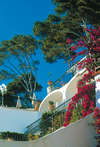 Casa Morgano 